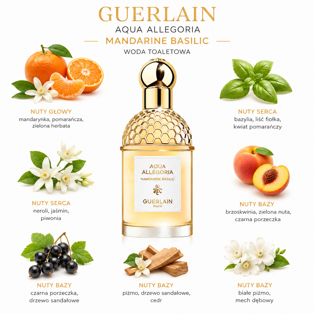 Guerlain Aqua Allegoria Mandarine Basilic woda toaletowa - próbka